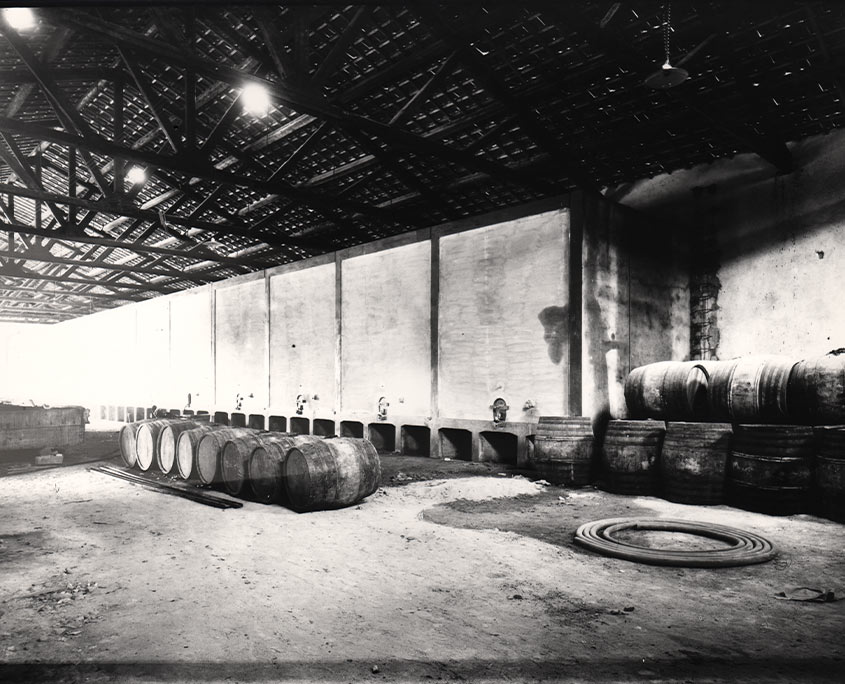 historical photo cantina sociale di Monserrato barrels